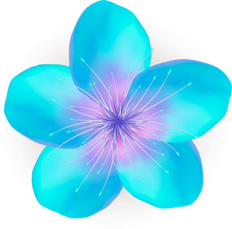 Cherry or apple blossom blue