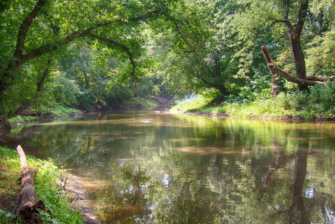 River in The Forest